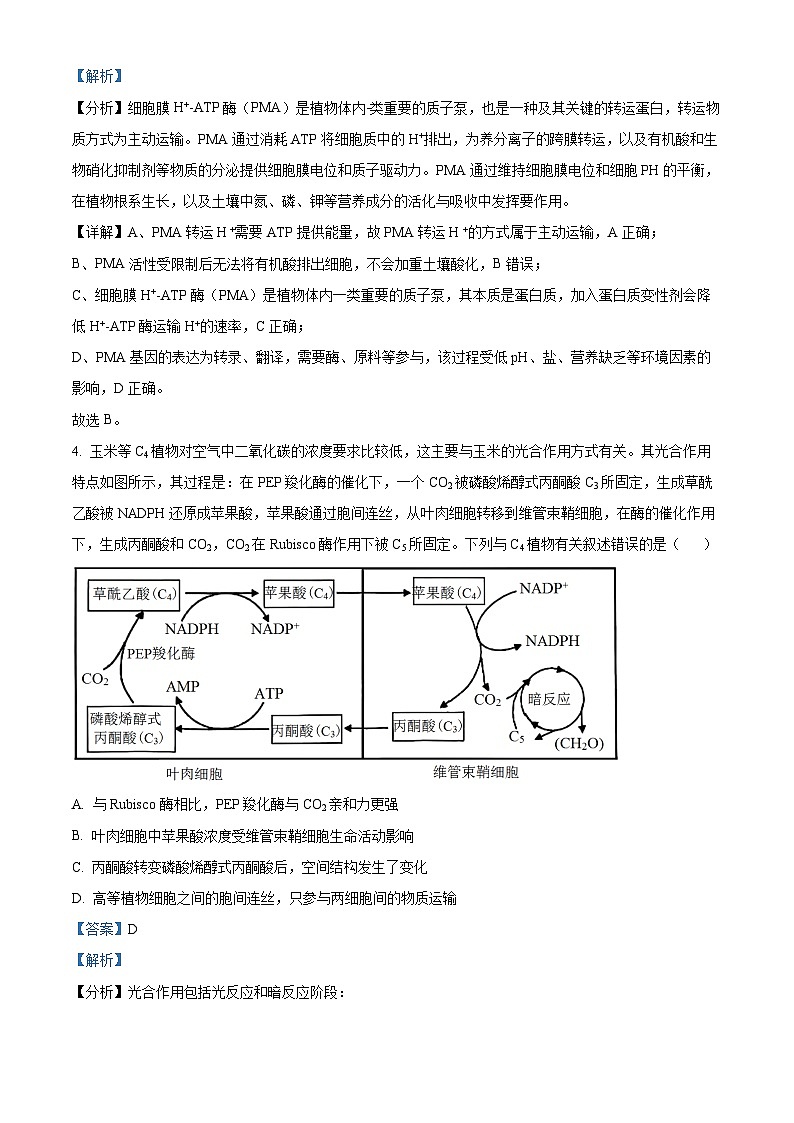 【辽宁卷】辽宁省2023-2024学年度东北育才学校高中部高三第三次模拟考试生物03