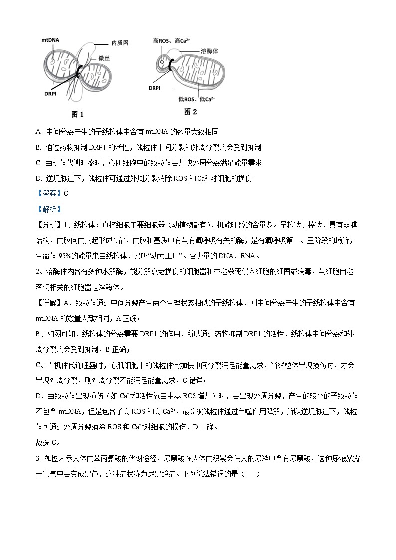 精品解析：重庆市梁平区2023-2024学年高三上学期第二次调研考试生物试题（解析版）第2页