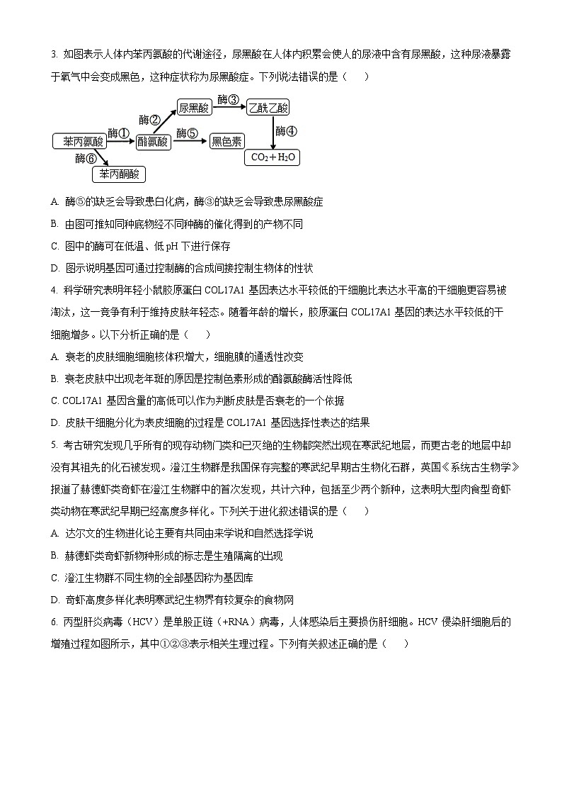 精品解析：重庆市梁平区2023-2024学年高三上学期第二次调研考试生物试题（原卷版）第2页