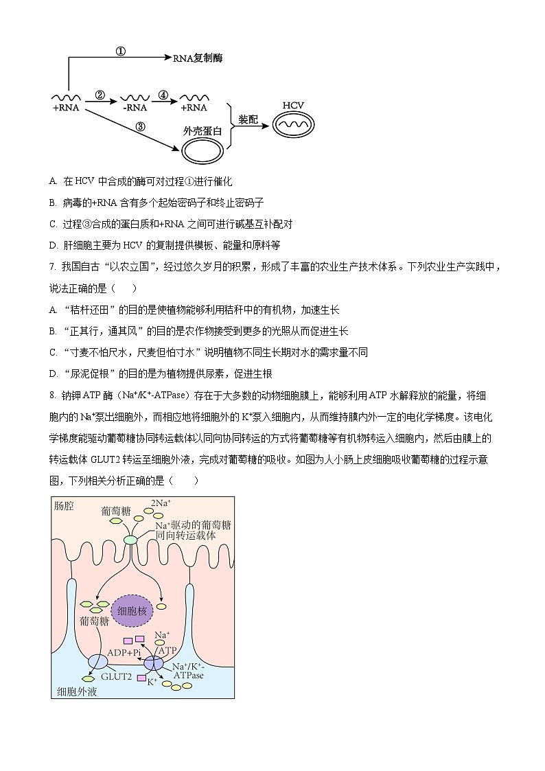 精品解析：重庆市梁平区2023-2024学年高三上学期第二次调研考试生物试题（原卷版）第3页