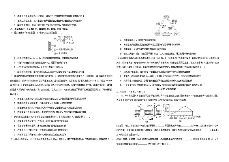 2024省佳木斯三校联考高三上学期第三次调研考试生物含解析03