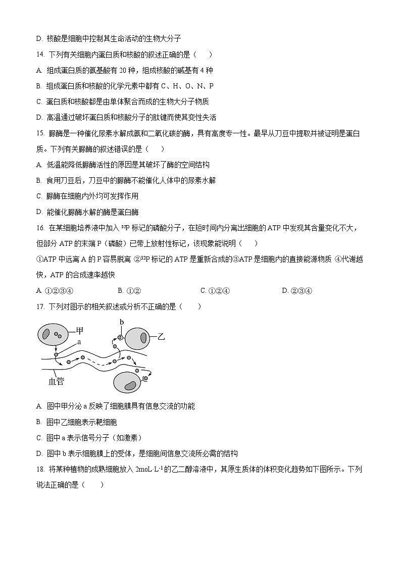 2024泸县一中高一上学期12月月考生物试题含解析03