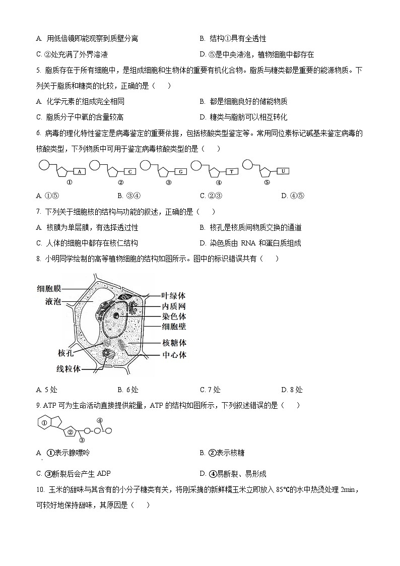 2024河北省百校联盟高一上学期12月月考试题生物含解析第2页