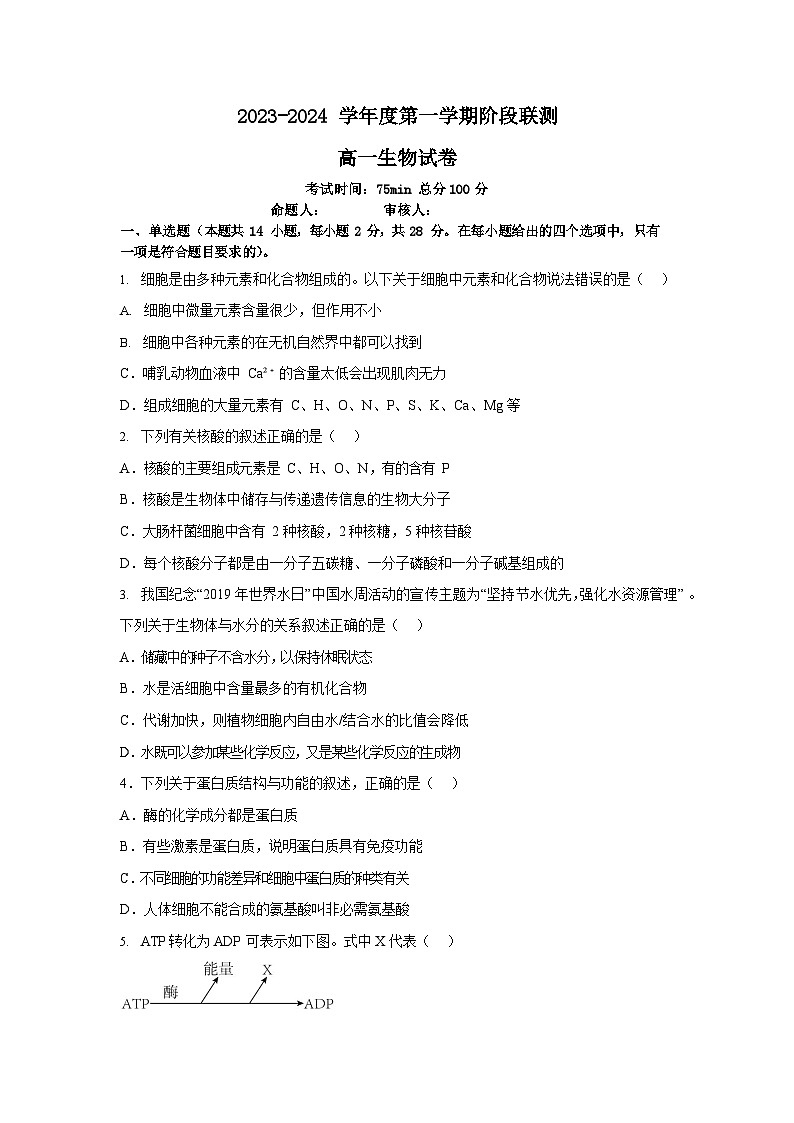 2024江苏省五市十一校高一上学期12月阶段联测试题生物含答案01