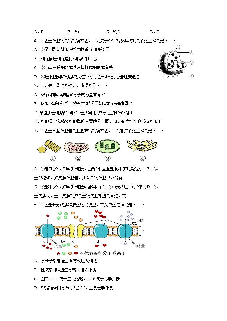 2024江苏省五市十一校高一上学期12月阶段联测试题生物含答案02