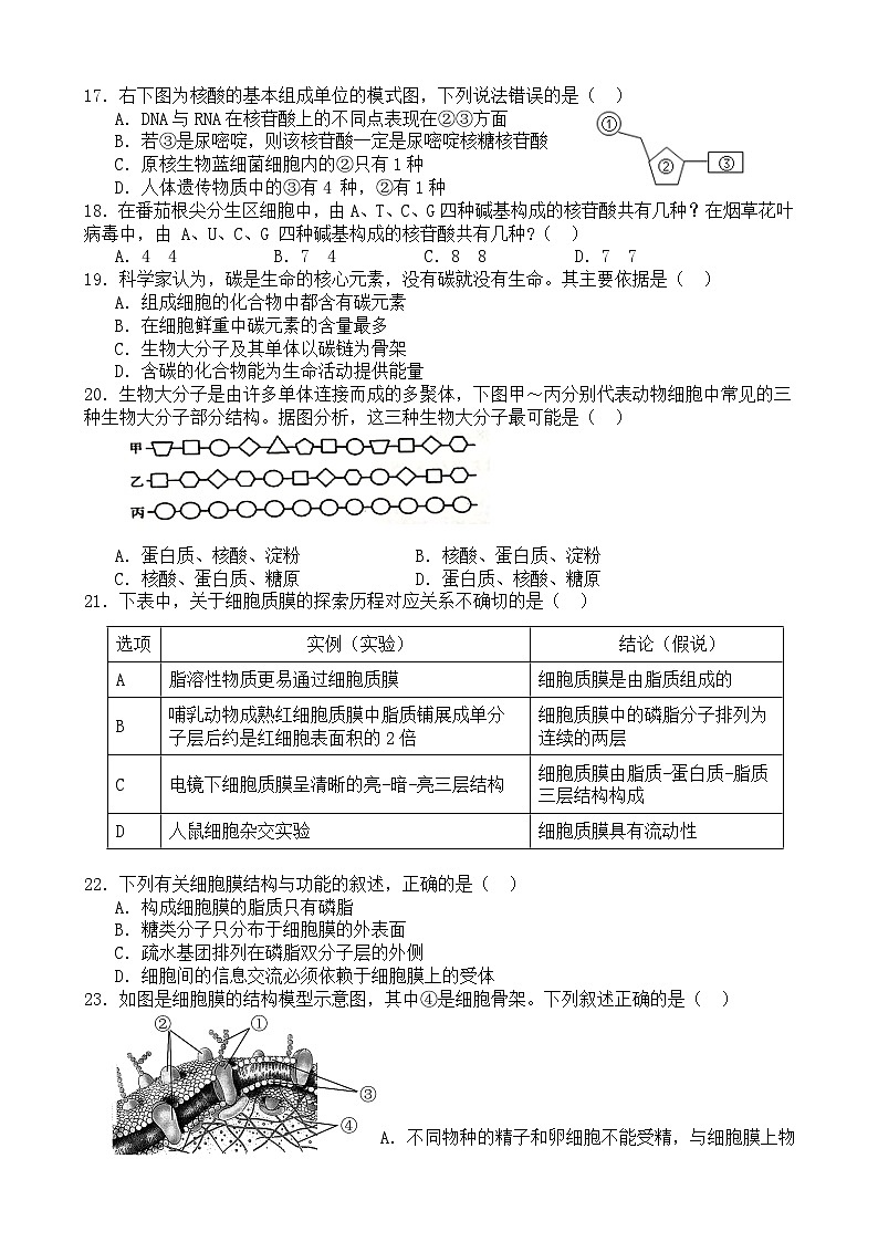 2024重庆市三峡名校联盟高一上学期秋季联考试题生物含答案03