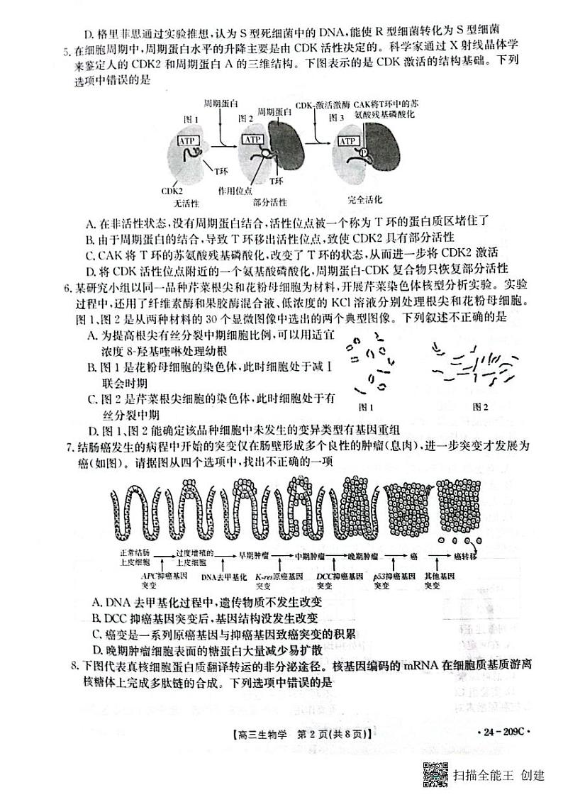 2024届江苏省百校大联考模拟预测生物试题第2页