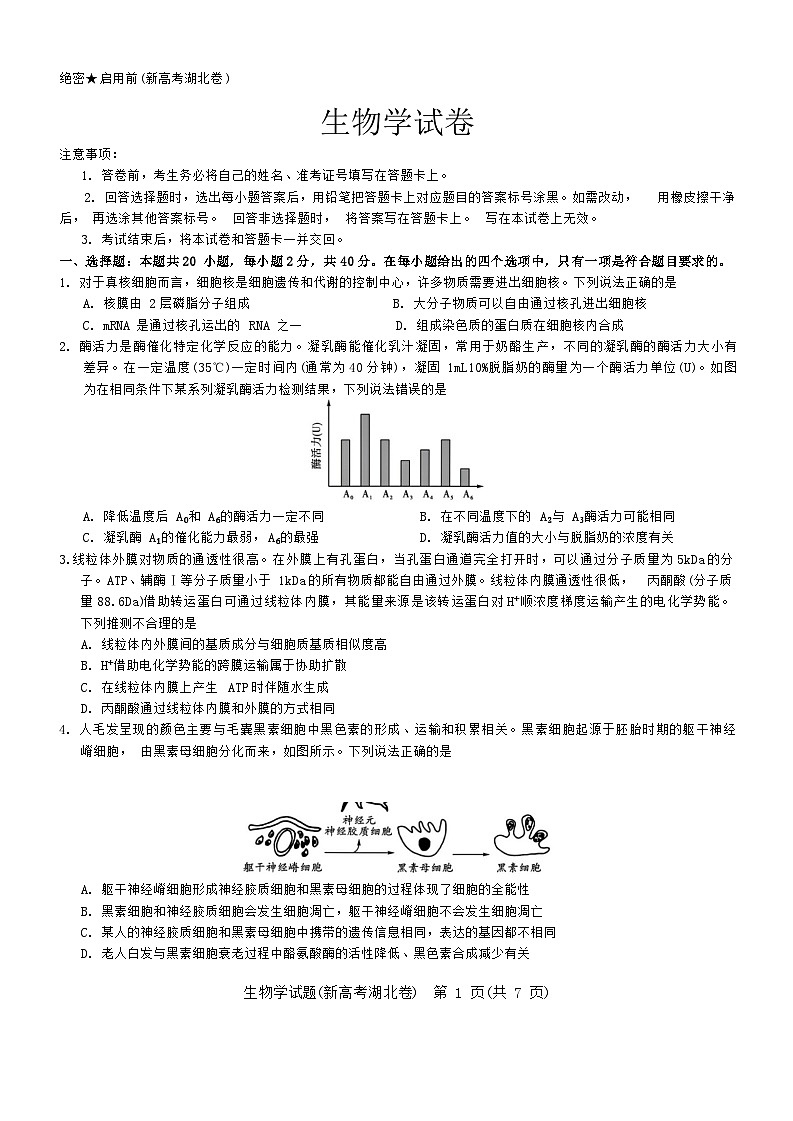 湖北省名校联考2023-2024学年高三上学期期中联考生物试题（Word版附答案）01
