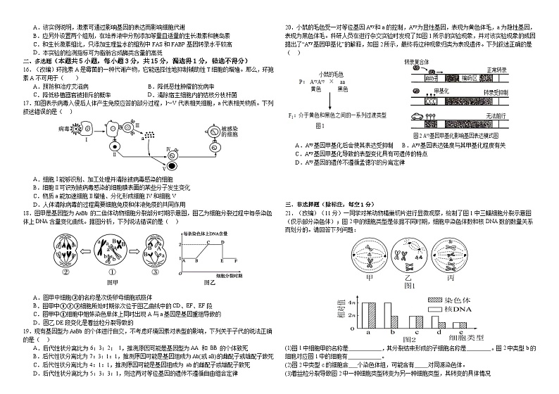 黑龙江省双鸭山市第三十一中学2024届高三上学期12月期中考试生物03