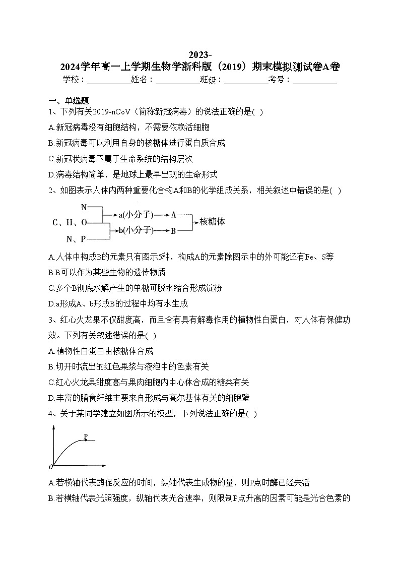 2023-2024学年高一上学期生物学浙科版（2019）期末模拟测试卷A卷(含答案)01