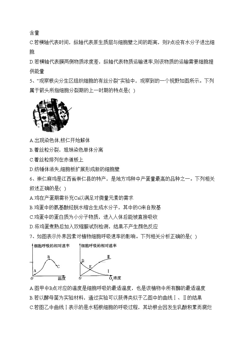 2023-2024学年高一上学期生物学浙科版（2019）期末模拟测试卷A卷(含答案)02