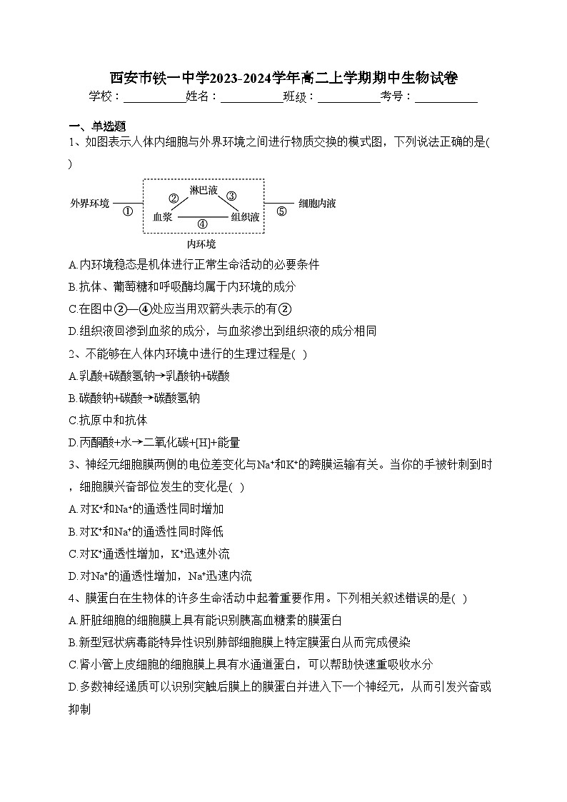 西安市铁一中学2023-2024学年高二上学期期中生物试卷(含答案)01