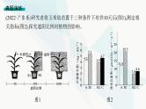 高考生物二轮复习长句表达(一)细胞代谢类大题突破课件