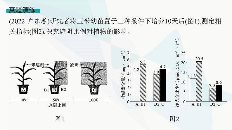 高考生物二轮复习长句表达(一)细胞代谢类大题突破课件02