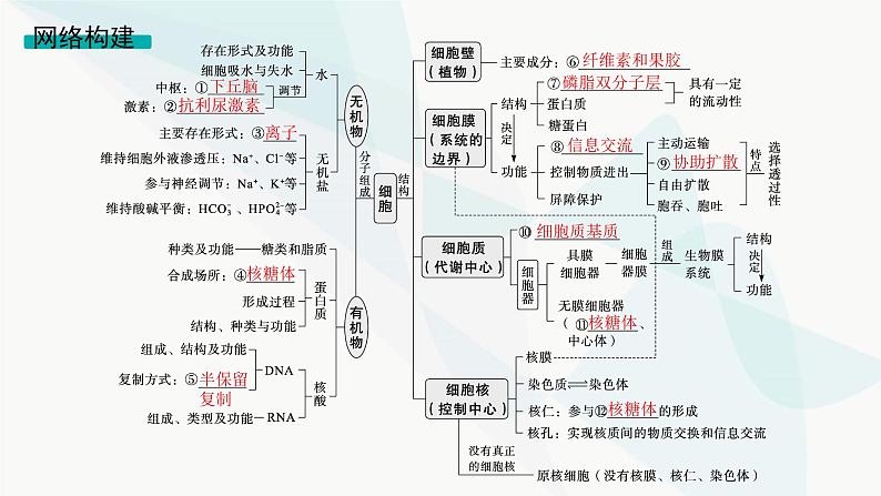 高考生物二轮复习专题1细胞的分子组成、结构与物质运输课件03