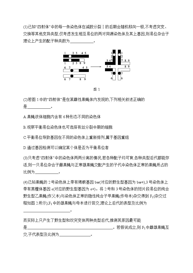高考生物二轮复习大题练变异与育种含答案第3页