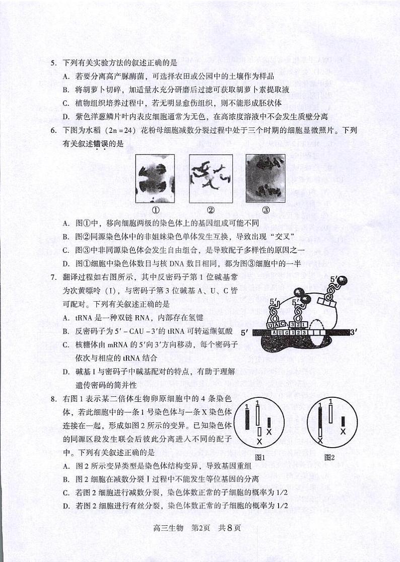 【江苏卷】江苏省常熟市2023-2024学年高三上学期阶段性抽测二生物02