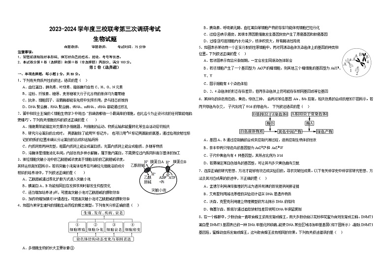 黑龙江省佳木斯市三校联考2024届高三上学期第三次调研考试生物01