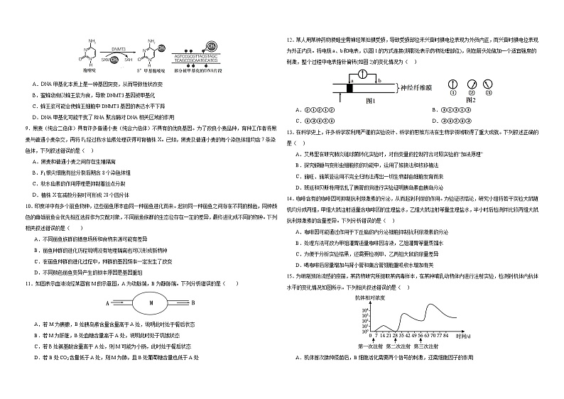 黑龙江省佳木斯市三校联考2024届高三上学期第三次调研考试生物02