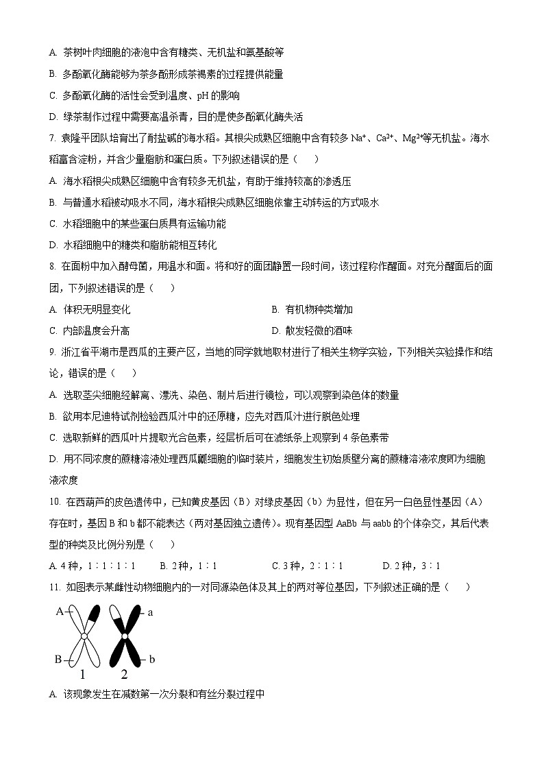 2022~2023学年浙江省七彩阳光新高考研究联盟高一4月期中生物试题02