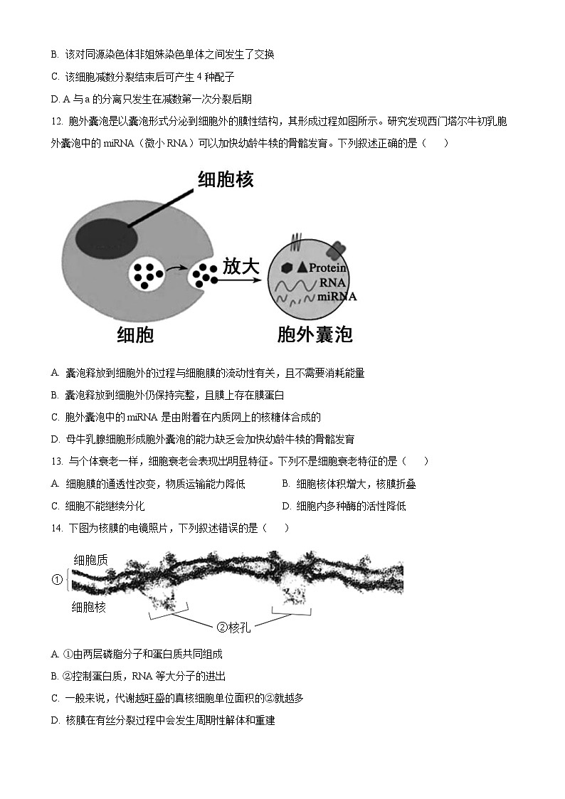 2022~2023学年浙江省七彩阳光新高考研究联盟高一4月期中生物试题03