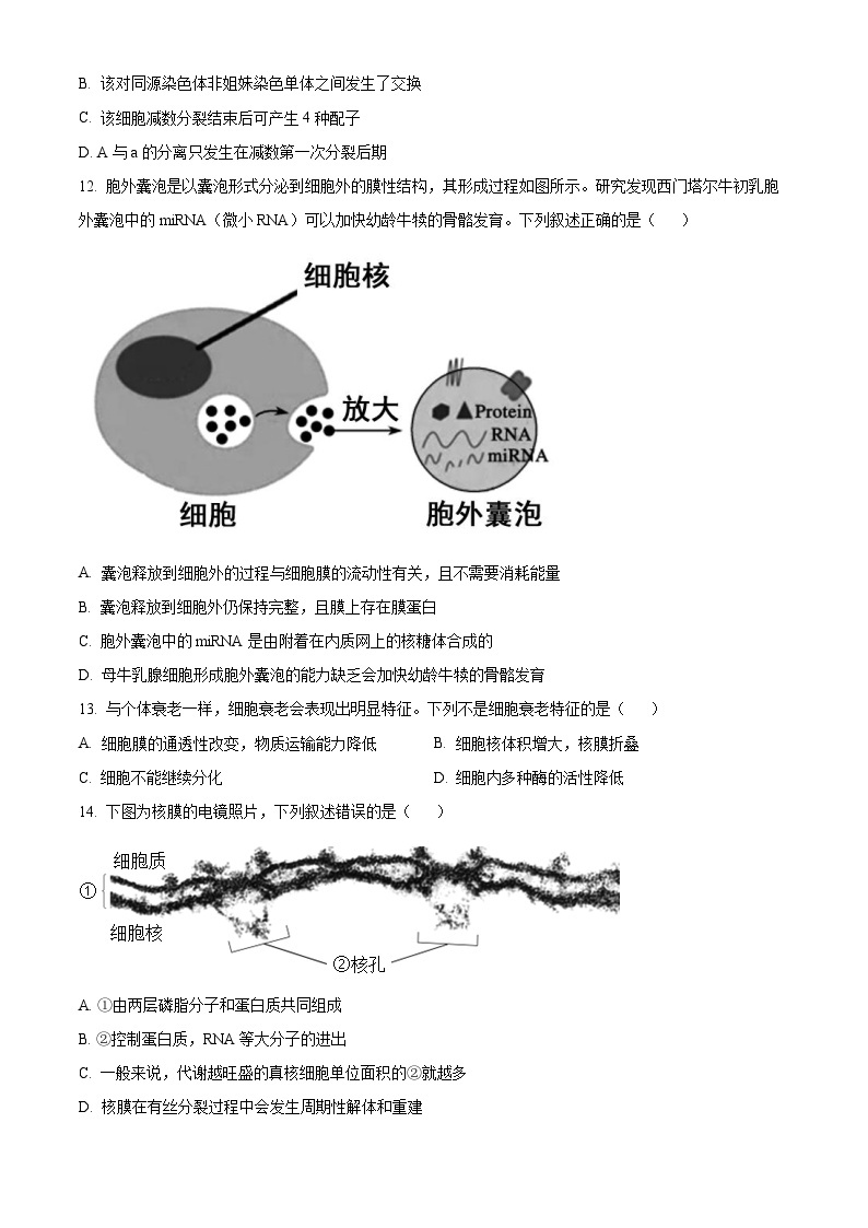 2022~2023学年浙江省七彩阳光新高考研究联盟高一4月期中生物试题03