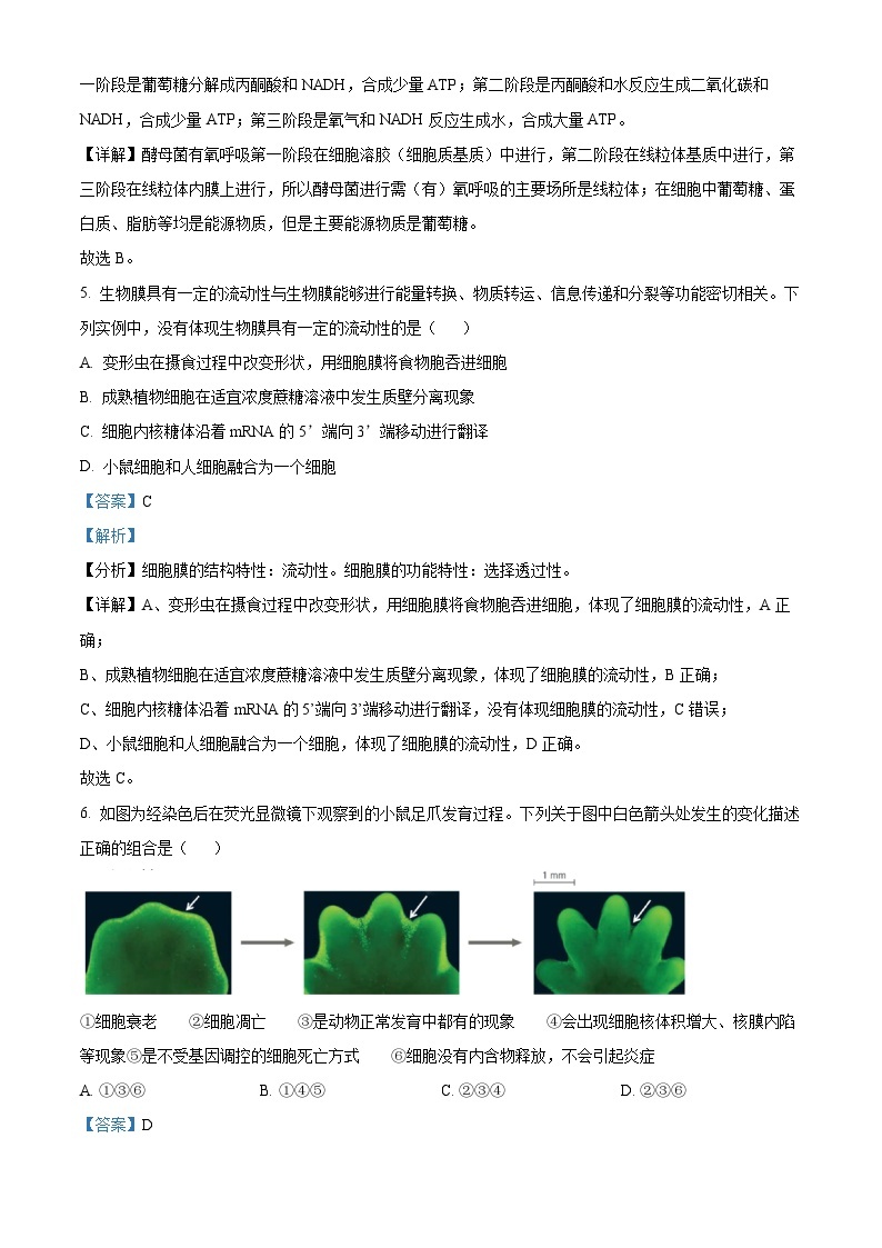 2022~2023学年浙江省温州环大罗山联盟期中高一4月期中生物试题03