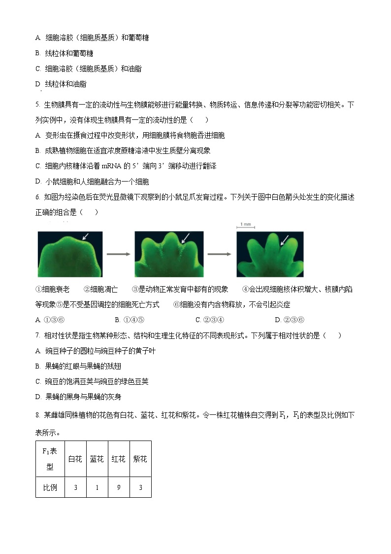 2022~2023学年浙江省温州环大罗山联盟期中高一4月期中生物试题02