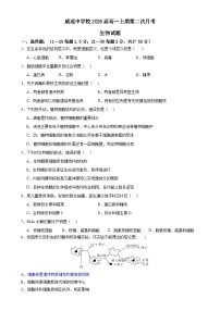 四川省内江市威远中学校2023-2024学年高一上学期第二次月考生物试题