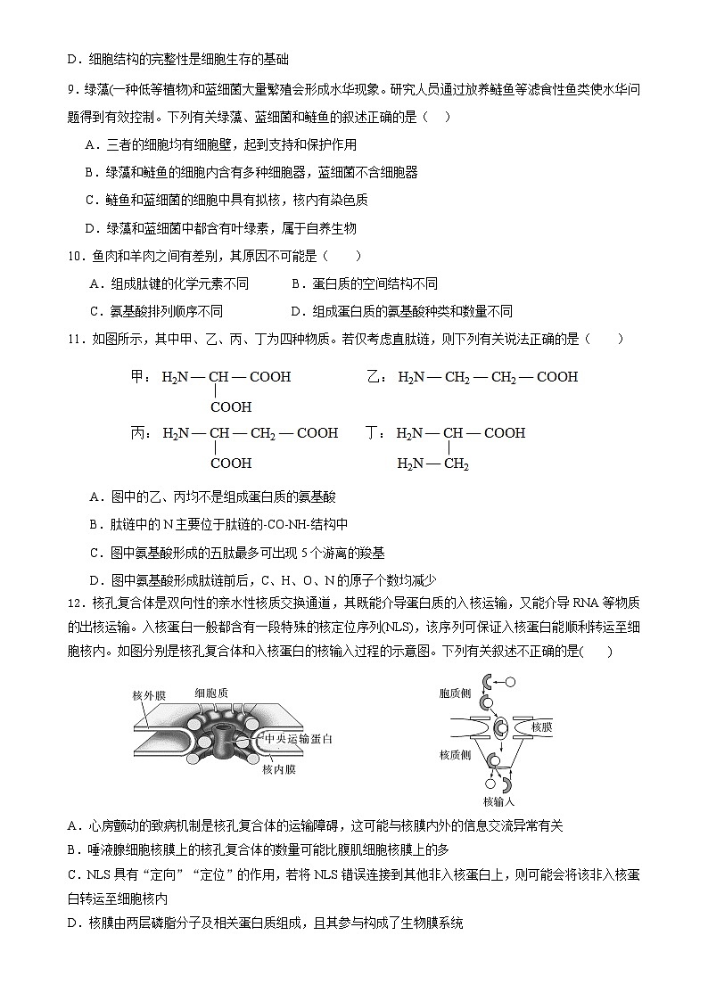 四川省内江市威远中学校2023-2024学年高一上学期第二次月考生物试题02