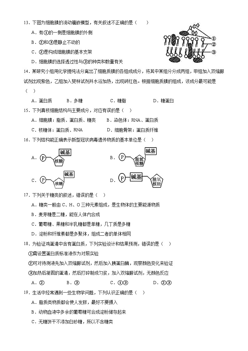 四川省内江市威远中学校2023-2024学年高一上学期第二次月考生物试题03