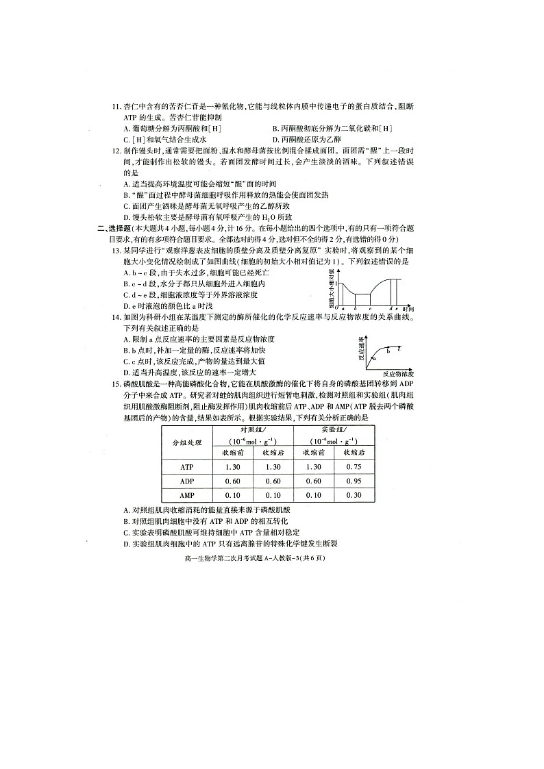 陕西省榆林市第十中学2023-2024学年高一上学期第二次月考生物试卷02