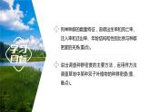 1.1 种群的数量特征-2023-2024学年高二生物人教版选择性必修2课件