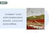 1.1 种群的数量特征-2023-2024学年高二生物人教版选择性必修2课件
