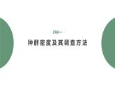 1.1 种群的数量特征-2023-2024学年高二生物人教版选择性必修2课件