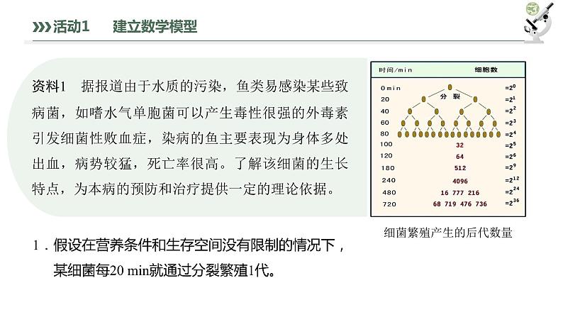 1.2.1 建构种群增长模型的方法及种群数量的变化-2023-2024学年高二生物人教版选择性必修2课件05