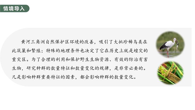 1.3 影响种群数量变化的因素-2023-2024学年高二生物人教版选择性必修2课件第3页