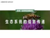 3.4  生态系统的信息传递-2023-2024学年高二生物人教版选择性必修2课件