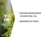 3.4  生态系统的信息传递-2023-2024学年高二生物人教版选择性必修2课件
