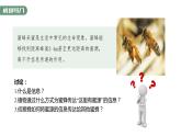 3.4  生态系统的信息传递-2023-2024学年高二生物人教版选择性必修2课件