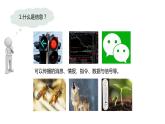 3.4  生态系统的信息传递-2023-2024学年高二生物人教版选择性必修2课件