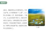 3.5 生态系统的稳定性-2023-2024学年高二生物人教版选择性必修2课件