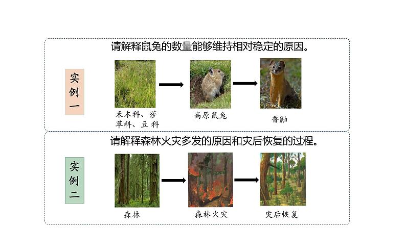 3.5 生态系统的稳定性-2023-2024学年高二生物人教版选择性必修2课件08