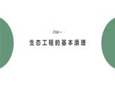 4.3 生态工程-2023-2024学年高二生物人教版选择性必修2课件