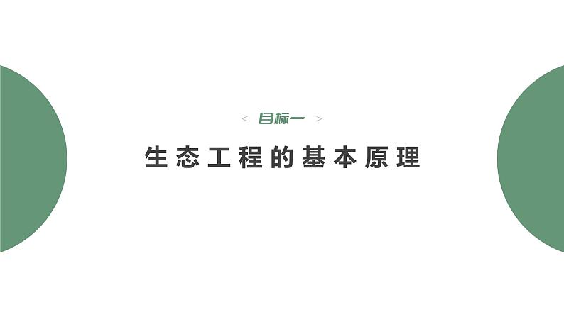 4.3 生态工程-2023-2024学年高二生物人教版选择性必修2课件第4页