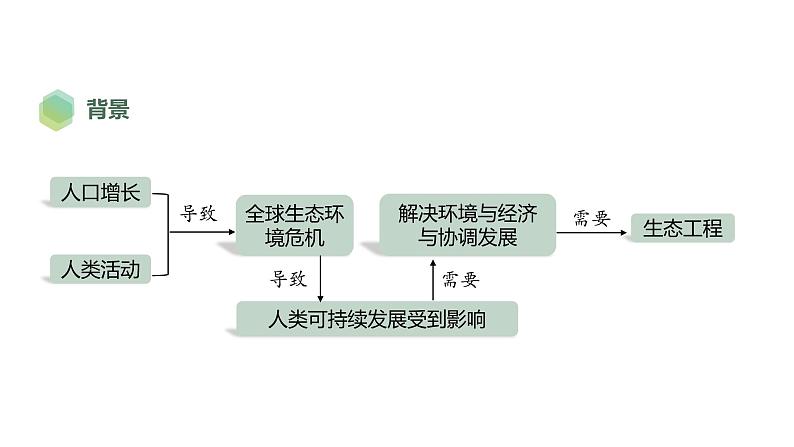 4.3 生态工程-2023-2024学年高二生物人教版选择性必修2课件第5页