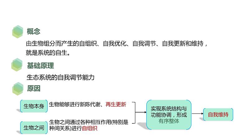 4.3 生态工程-2023-2024学年高二生物人教版选择性必修2课件第8页