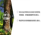 3.2.2 生态金字塔和研究能量流动的实践意义-2023-2024学年高二生物人教版选择性必修2课件
