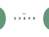 3.2.2 生态金字塔和研究能量流动的实践意义-2023-2024学年高二生物人教版选择性必修2课件