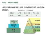 3.2.2 生态金字塔和研究能量流动的实践意义-2023-2024学年高二生物人教版选择性必修2课件
